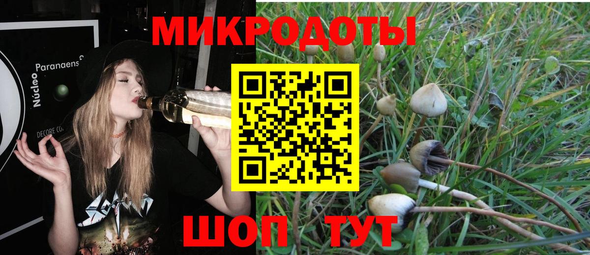 Ржев  Галлюциногенные грибы Psilocybine cubensis  Вход с VPN 